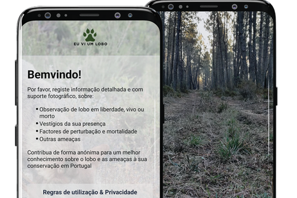 image for Plataforma loboiberico.pt